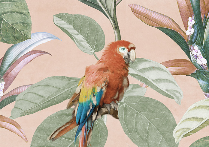 Parrot, Peach Ice - Twist&Fit Roman Blind - Image 7